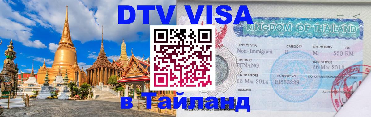 Оформление DTV визы под ключ: стоимость и тарифы, только загранпаспорт - Димитровград  03.10.2025 